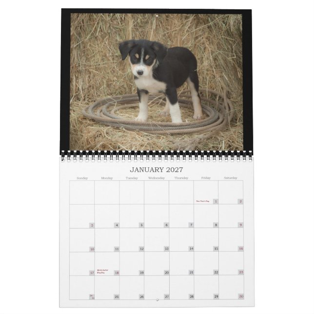 Calendário dos filhotes de cachorro da fazenda (Jan 2027)