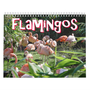 Calendário dos flamingos