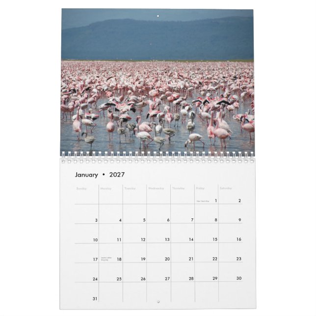 Calendário dos flamingos (Jan 2027)