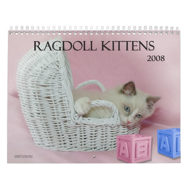 Calendário dos gatinhos de Ragdoll (Capa)