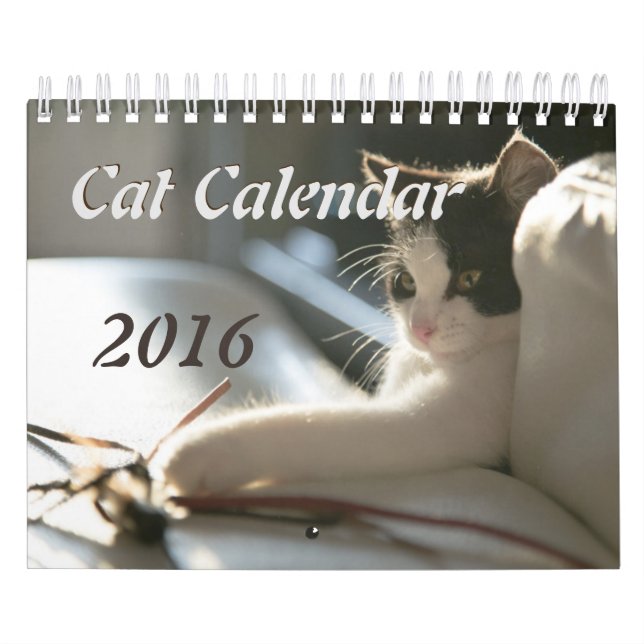 Calendário dos gatos (Capa)