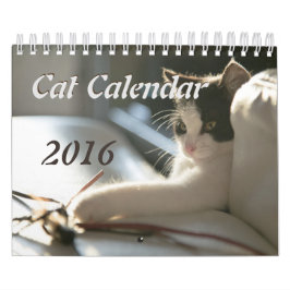 Calendário dos gatos