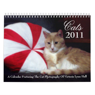 Calendário dos gatos 2011
