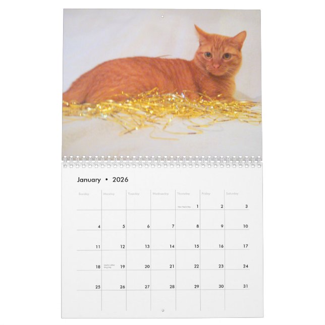 Calendário dos gatos 2011 (Jan 2026)