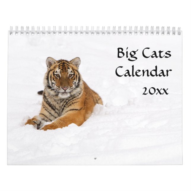 Calendário dos gatos grandes (Capa)
