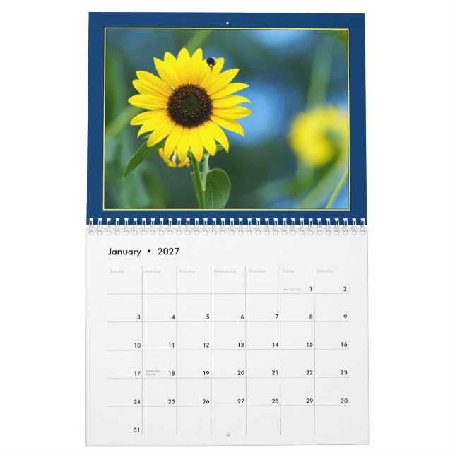 Calendário dos girassóis 2011 (Jan 2027)