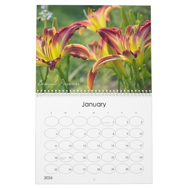 Calendário dos hemerocallis 2011 (Jan 2026)