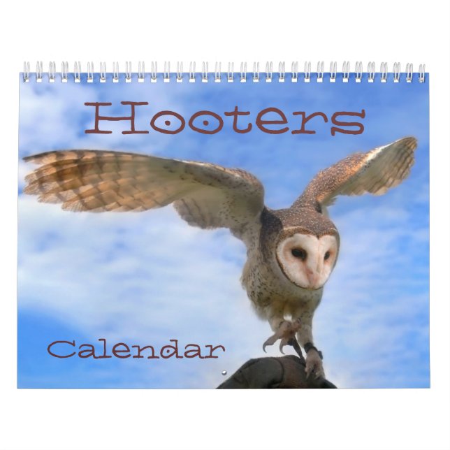 Calendário dos Hooters 2012 (Capa)