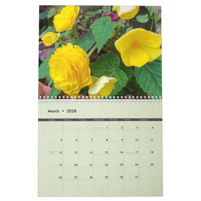 Calendário dos Jardins Tollerton 2024 para Inger (Mar 2028)