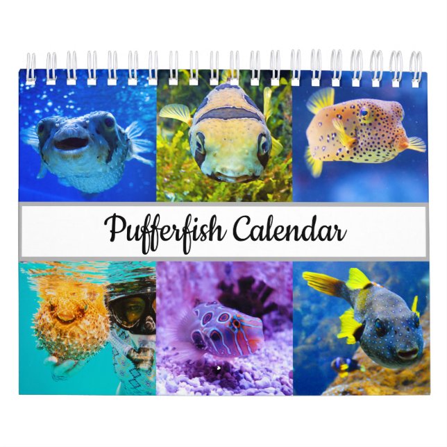 Calendário dos lagostins (Capa)