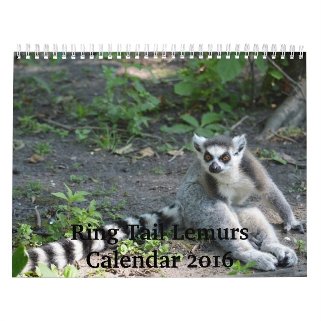 Calendário dos Lemurs 2016 da cauda do anel (Capa)