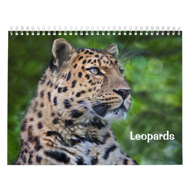 Calendário dos Leopardos (Capa)