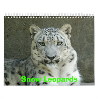 Calendário dos leopardos de neve, leopardos de