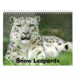 Calendário dos leopardos de neve, leopardos de
