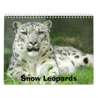 Calendário dos leopardos de neve, leopardos de