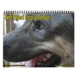 Calendário dos Melhores Cães Amigos!