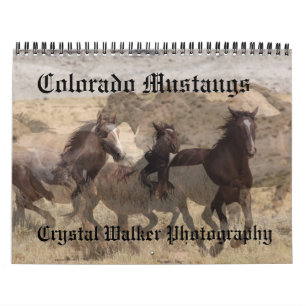 Calendário dos mustang de Colorado