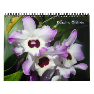 Calendário dos Orchids surpreendentes