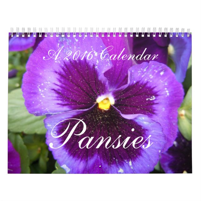 Calendário dos Pansies 2016 (Capa)