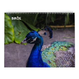 calendário dos pássaros