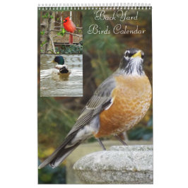 Calendário dos pássaros do quintal