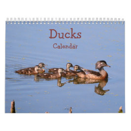 Calendário dos Patos