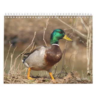 Calendário dos Patos-Alarde Caça
