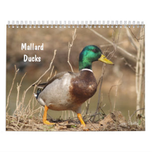 Calendário dos Patos-Alarde Caça