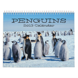 Calendário dos pinguins