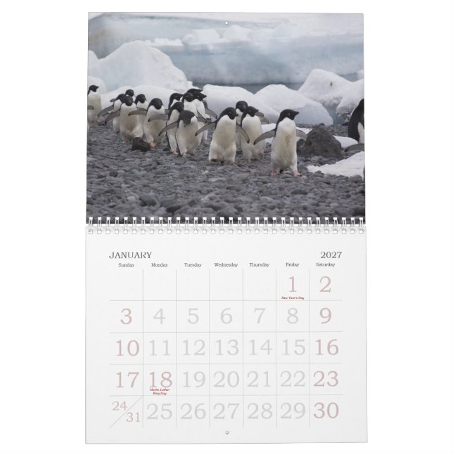 Calendário dos pinguins da Antártica (Jan 2027)