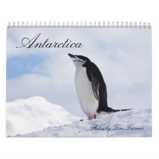 Calendário dos pinguins da Antártica