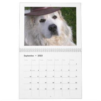 Calendário dos Pirenéus do excelente