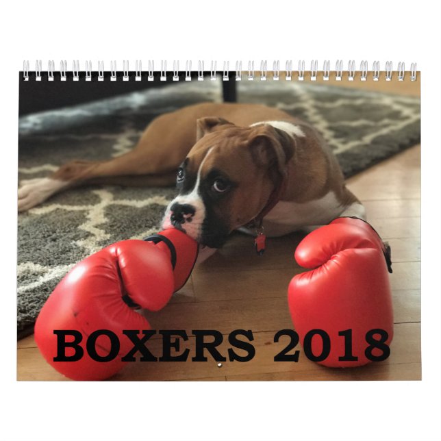 CALENDÁRIO DOS PUGILISTAS 2018 (Capa)