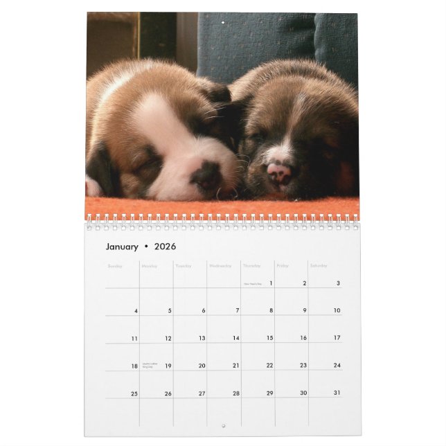 Calendário dos Puppies (Jan 2026)