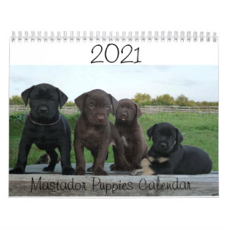 Calendário dos Puppies do Mastador 2021