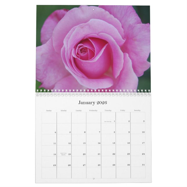 Calendário dos rosas (Jan 2026)