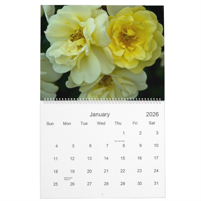 Calendário dos rosas 2009 (Jan 2026)