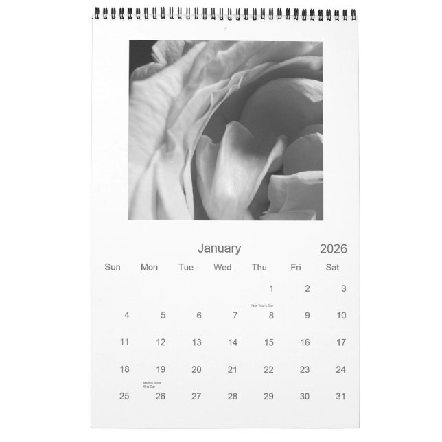 Calendário dos rosas pretos & brancos 2009 (Jan 2026)