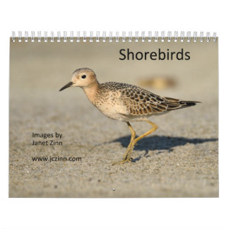 Calendário dos Shorebirds