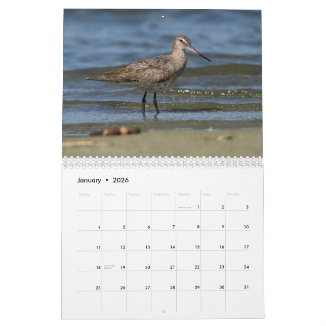 Calendário dos Shorebirds (Jan 2026)