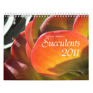 Calendário dos Succulents 2011