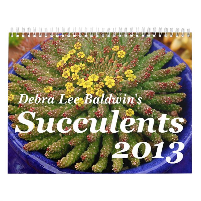Calendário dos Succulents 2013 de Debra Lee Baldwi (Capa)