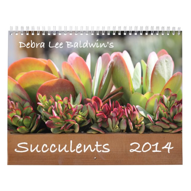 Calendário dos Succulents 2014 por Debra Lee (Capa)