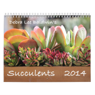 Calendário dos Succulents 2014 por Debra Lee