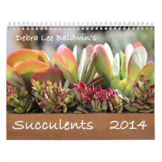 Calendário dos Succulents 2014 por Debra Lee