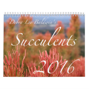 Calendário dos Succulents 2016 por Debra Lee