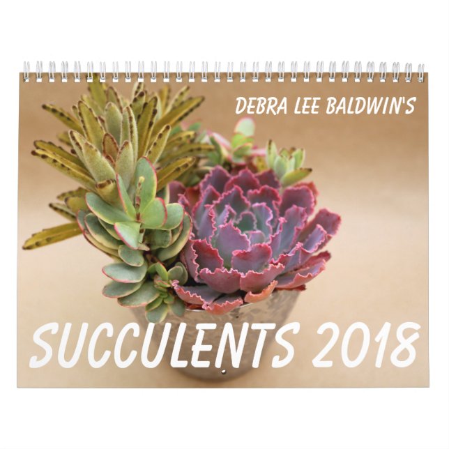 Calendário dos Succulents 2018 por Debra Lee (Capa)