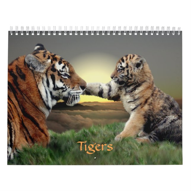Calendário dos Tigres (Capa)
