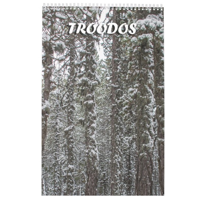 Calendário dos Troodos de Chipre (Verso)