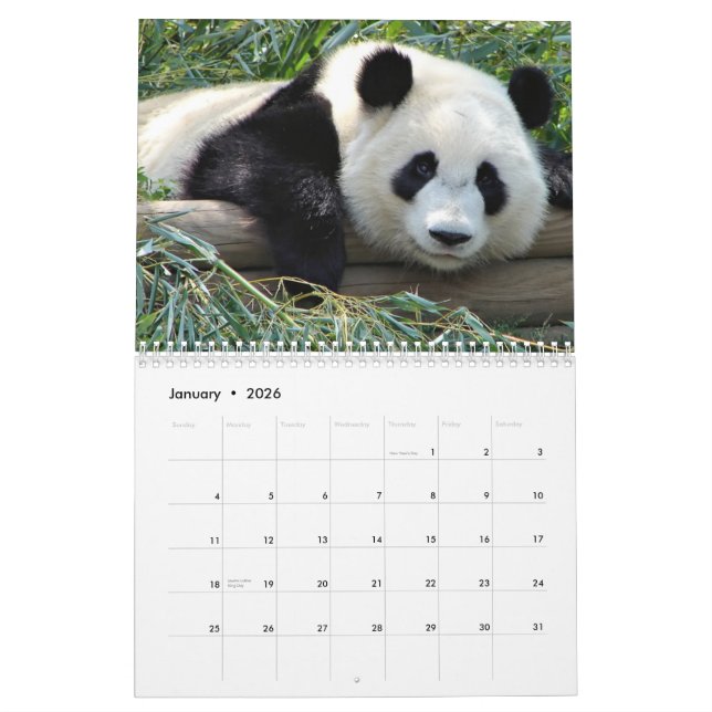 Calendário dos ursos (Jan 2026)